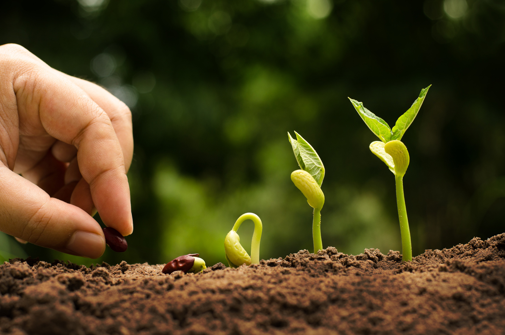 “La bioeconomia circolare: sfide e opportunità per l’agricoltura e l’agroalimentare”
